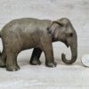 Schleich - 14654 Asiatische Elefantenkuh