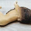 Schleich - 14812 Löwe – Bild 3