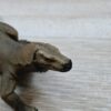 Schleich – 14826 Komodowaran – Bild 4