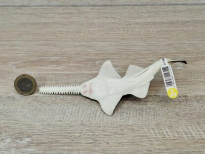 Schleich – 14724 Sägefisch [Sägerochen] (RAR) (Fähnchen - Sammler)´ – Bild 4