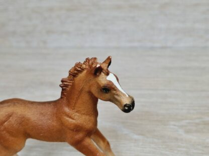 Schleich – 42361 Fohlen mit Decke [Englisch Vollblut] – Bild 4