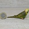 Schleich - 14408 Wellensittich (grün) [Die Haustiere – Nr. 8/16] – Bild 2