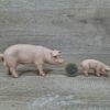 Schleich - Schweine Familie komplett #1 – Bild 2