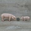 Schleich - Schweine Familie komplett #1 – Bild 4