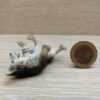 Schleich - 16374 Husky Welpe, liegend (Fähnchen-Sammler)` – Bild 2