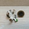 Schleich - 16374 Husky Welpe, liegend (Fähnchen-Sammler)` – Bild 3