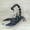 Schleich - 70124 Skorpionreiter (RAR)