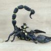 Schleich - 70124 Skorpionreiter (RAR) – Bild 3