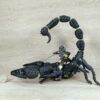 Schleich - 70124 Skorpionreiter (RAR) – Bild 4
