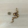 Schleich - 14163 Boa Constrictor – Bild 2