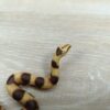 Schleich - 14163 Boa Constrictor – Bild 4