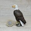 Schleich - 16702 Weißkopfseeadler, sitzend [Greifvögel 1:18 - Nr 2/8] (RAR)