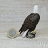 Schleich - 16702 Weißkopfseeadler, sitzend [Greifvögel 1:18 - Nr 2/8] (RAR) – Bild 2