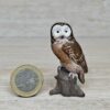 Schleich – 14238 Waldkauz (RAR)