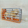 Schleich – weißer Löwe mit Falle aus Set 97702