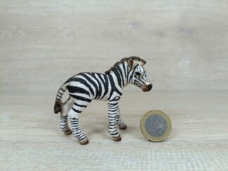 Schleich - 14393 Zebra Fohlen