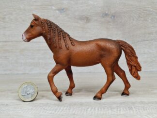 Schleich – 13870 Morgan Horse Stute