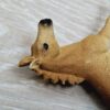 Schleich – 42432 Sarahs Tierbaby-Pflege [Quarter-Horse/ Golden Retriever] – Bild 8