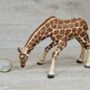 Schleich - 14390 Giraffenkuh saufend (RAR)