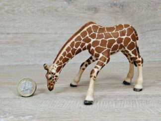 Schleich - 14390 Giraffenkuh saufend (RAR)