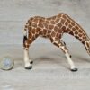 Schleich - 14390 Giraffenkuh saufend (RAR) – Bild 3