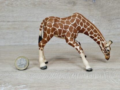 Schleich - 14390 Giraffenkuh saufend (RAR) – Bild 3