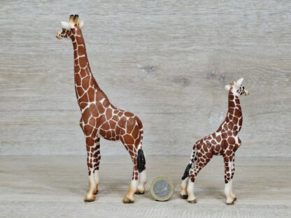 Schleich – Giraffen Familie komplett #2 – Bild 5