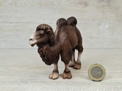 Schleich - 14348 Trampeltier (RAR) – Bild 2