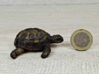 Schleich - 14404 Schildkröte [Die Haustiere – Nr. 4/16]