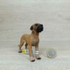 Schleich - 16320 Deutsche Dogge (Fähnchen-Sammler)´ – Bild 2