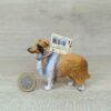 Schleich - 16304 Collie (Wissenskärtchen-Sammler) (RAR) – Bild 2
