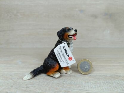 Schleich - 16316 Berner Sennenhund [Farbvariante] (weißes Wissenskärtchen-Sammler)