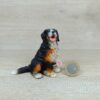 Schleich - 16316 Berner Sennenhund [Farbvariante] (kleines Fähnchen-Sammler)