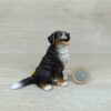 Schleich - 16316 Berner Sennenhund (Fähnchen-Sammler)´