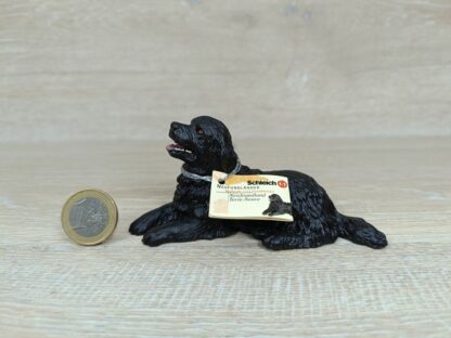 Schleich - 16322 Neufundländer, liegend (RAR) (Wissenskärtchen-Sammler)