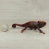 Schleich – 14858 Chamäleon [mit Farbwechsel] – Bild 2