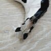 Schleich – 13696 Pinto Stute – Bild 4