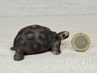 Schleich - 14081 Riesenschildkröte [Variante braun]