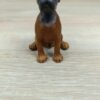 Schleich - 16303 Boxer [Rüde] [Farbvariante dunkelbraun] (RAR) – Bild 4