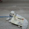 Schleich – 16602 Perser [Katze 1:8 – Nr 2/8] (Wissenskärtchen-Sammler) (RAR) – Bild 5
