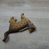 Schleich – 16654 Bengal [Katze 1:8 – Nr 8/8] (Wissenskärtchen-Sammler) (RAR) – Bild 4