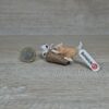 Schleich - 13723 Katzenjungen, spielend (RAR) (Fähnchen-Sammler)´