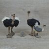 Schleich - Straußen Familie kompekt #2 (RAR)