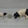 Schleich - Schwäbisch-Hällische Schweine Familie komplett – Bild 4