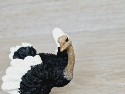 Schleich - Straußen Familie kompekt #2 (RAR) – Bild 9