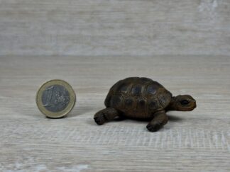 Schleich - 14404 Schildkröte [Die Haustiere – Nr. 4/16] (Fähnchen-Sammler)´