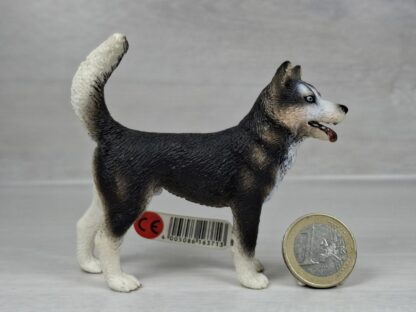 Schleich - 16371 Husky Rüde (Fähnchen-Sammler)´