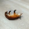 Schleich - 14338 Fuchs – Bild 4