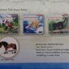 Schleich - 70611 "Mein Tierspielbuch: Komm mit, kleines Pferd!" [Falabella exclusive Model] [Pappbuch mit Klappen] (RAR) – Bild 5