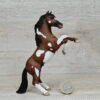 Schleich - 72002 Pinto Hengst [steigend] (exclusive Model)